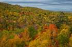 USA, Maine. Colorful fall foliage, Baxter State Park Art Print